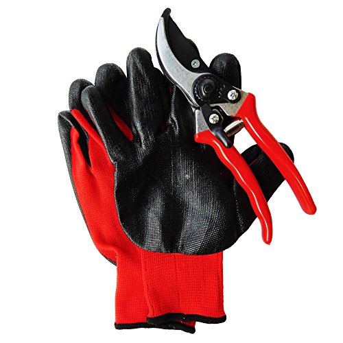 Pruning Shears with Titanium Bypass Hand Pruner Trimmer Clipper Garden Tool with Ergonomic Aluminum Handles Comes with a Bonus Set of Gardening Gloves Shears Are Razor Sharp Stainless Steel