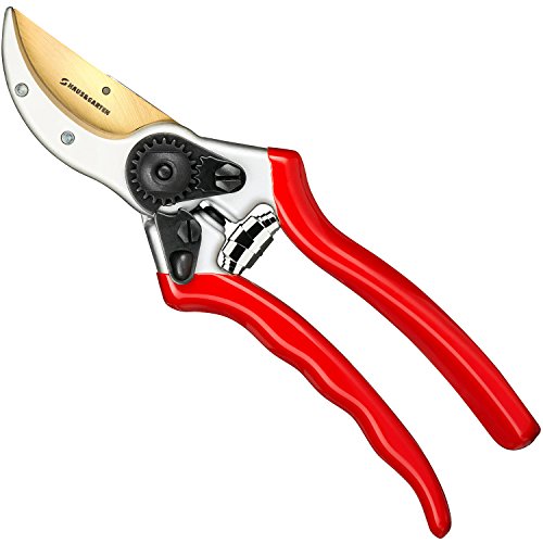 Titanium Pruning Shears - Best Tree Trimmer Garden Shears Hand Pruner - Top Choice Bush Shrub Hedge Clippers - Razor Sharp Bypass Secateurs Ergonomic Gardening Tool for EffortlessPrecise Cuts