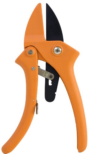 Flexrake LRB168 Ratchet Anvil Pruner 34-Inch Capacity