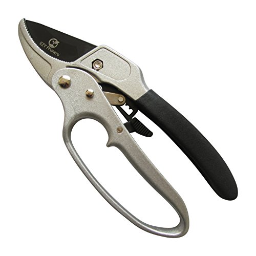 Ratchet Pruning Shears - Sharp Garden Hand Pruners - Easy Ratcheting Action - Best Anvil Gardening Secateurs for Small to Medium Jobs - Simple to Lock or Unlock - 100