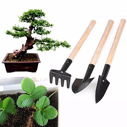 LONG7INES 3-Pack Small Garden Tool Set - Garden Triangle shovelSquare shovelRake for Women Shovel Rake Spade Wood Stick