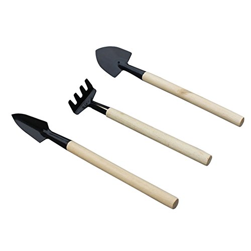 Whitelotous Mini 3Pcs Spade Rake Shovel Set Wooden Handle Indoor Gardening Tool Garden