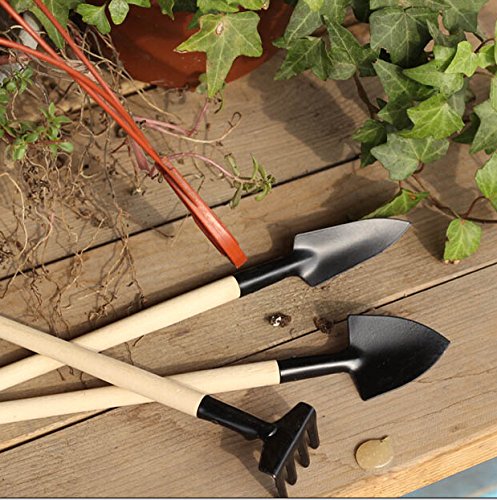 1set Mini Garden Tools Small Shovel Rake Spade Wood Handle