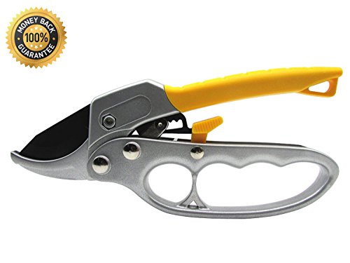 Anianiau Ratchet Action Secateurs Ideal For Use On Thicker Dead Or Woody Stems
