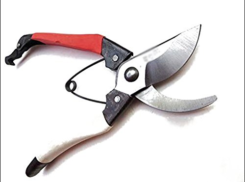 Beautymood Pruning Shears - The Best Professional Bypass Pruneramp Garden Hand Tool Cutters - Aluminum Secateurs