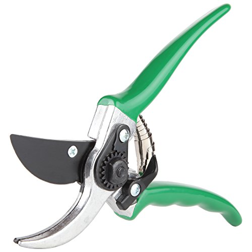 Best Bypass Pruning Shearsamp Hand Pruners - Trustyamp Reliable Gardenamp Flower Shears - High Quality Secateurs