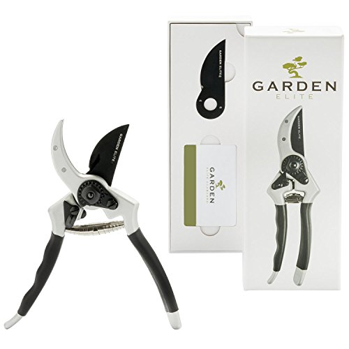 Razor Sharp Bypass Pruning ShearSecateur - Hardest Steel - FREE Blade eBook - Hassle Free Warranty - Premium Hand PrunerGardening ShearGarden Clipper with Ergonomic Handle for your Garden