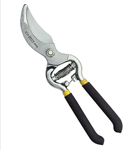 Rey Garden Profession Pruning Shears，Heavy Duty Hand Pruners 8 Inch Steel Garden Pruning Shears for Branch， Tree Trimmers Secateurs and Steel Bypass Pruner