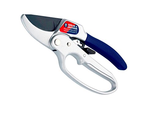 Spear Jackson 6358RS Razor-Sharp Ratchet Secateurs with Loop Handle