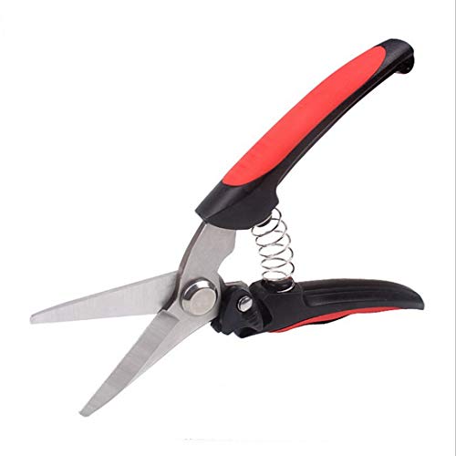 ZYDP Stainless Steel Gardening Pruning Shears Garden Lopper Fruit Tree Trimmer Shears Color  Red