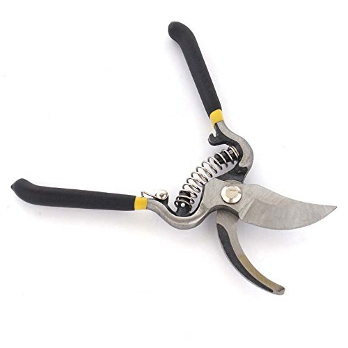 Garden Tools Farm Farm Tools Accessories Secateurs Garden Fruit Tree Telescopic Pruner Blade Pruning Loppers Shears Ferramentas Scissors Grafting Tool