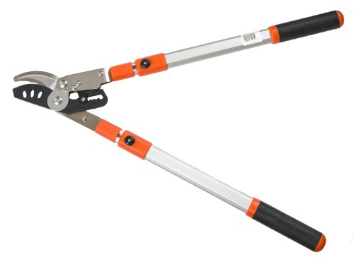 Compound Anvil Lopping Shears