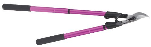Dramm 18066 ColorPoint Telescoping Lopper Berry Color Berry Model 18066 Tools Outdoor Store