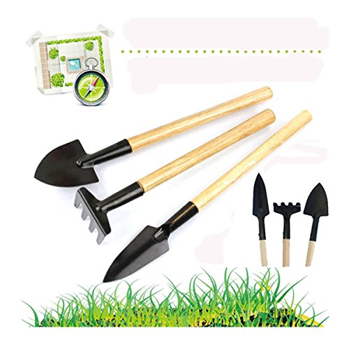 Stream 3Pcs Mini Plant Garden Tools Set With Wooden Handle Rake Shovel Spade