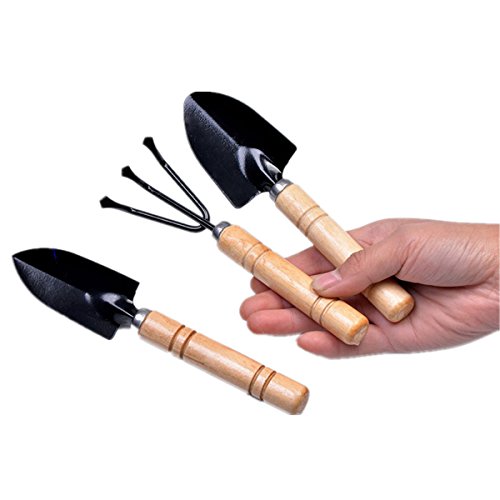 Stream 3Pcs Mini Plant Garden Tools Set With Wooden Handle Rake Shovel Spade