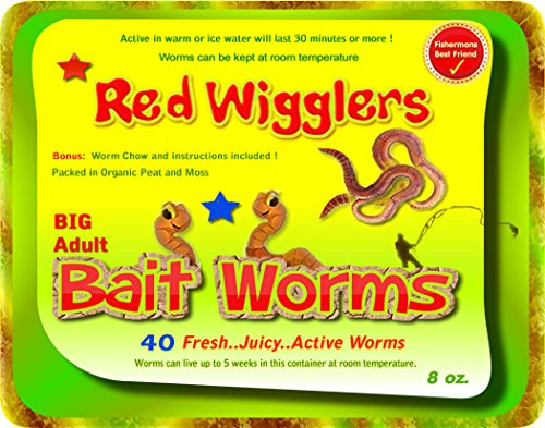 Red Wigglers 40 Adult Live Healthy Red Worms For Compostingamp Fishing Bait