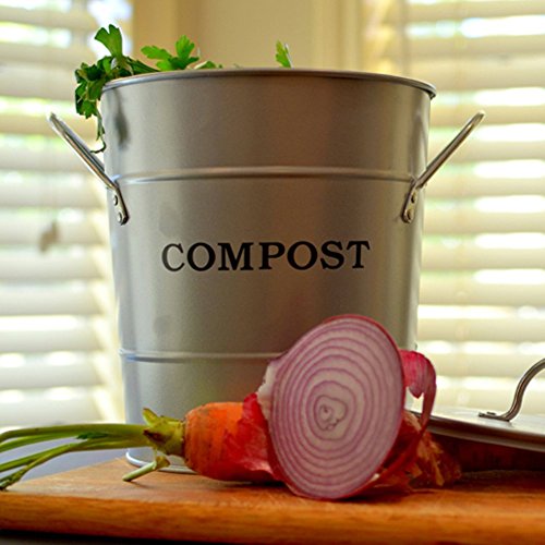2-n-1 Compost Bucket - Silver