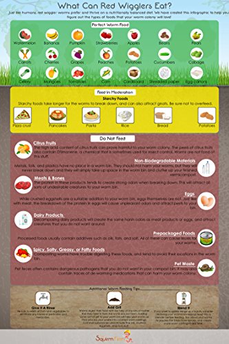 What Can Red Wigglers Eat Infographic Refrigerator Magnet for Live Red Wiggler Worm Composting Bins - An Essential Accessory to Any Worm Farm Starter Kit - Perfect For Kids Adults