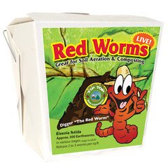 300 Red Wigglers - Red Worms Are Great For Organic Gardening And Composting