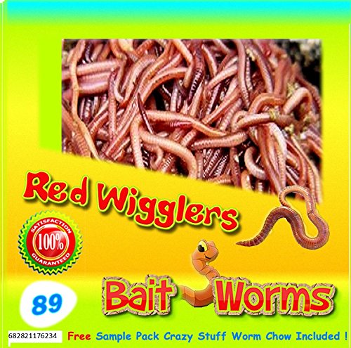 Red Wigglers 89 Count Live Healthy Red Worms for Composting Fishing Bait