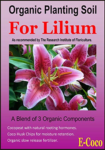 TOMHY Seeds Package 25 litres  Organic Lilium Compost Soil for and Lily Seed