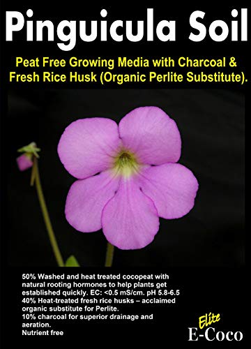 TOMHY Seeds Package 25 litres  Organic Pinguicula Seeds Compost Soil with Charcoal - erworts