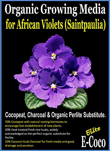 TOMHY Seeds Package 25 litres  Organic Saintpaulia Violets Compost Soil with Charcoal