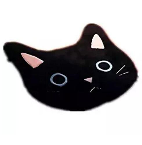 EatingBiting 26 Cat Rug Lucky Black Cat Soft Rug Coral Velvet Non-Slip Mat Doormat Carpet for Home Toilet Bedroom Washing Room Living Room Door XMas Holloween