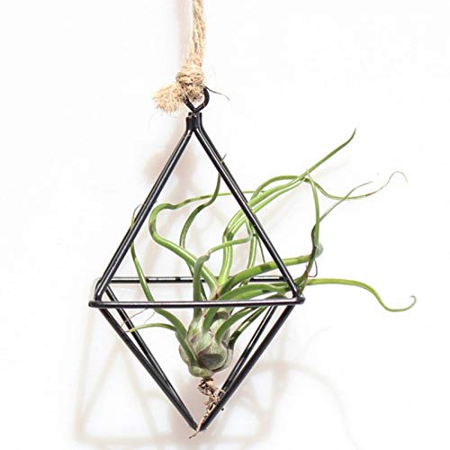 Hanging Baskets - Home Decor Hanging Tillandsia Air Plants Rack Metal Geometric Iron Art Flower Planter Pot Gardening - Large Toilet Seeds Cabinet Organizer Small Laundry Hanging Wall Live Pa