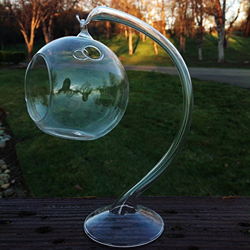 Hanging Round Clear Glass Sphere For Small Succulents Air Plant Or Rock Garden With Glass Stand
