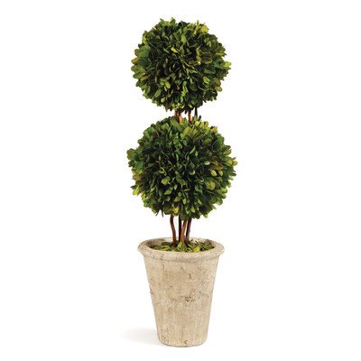 Napa Homeamp Garden Preserved Boxwood Double Sphere Topiary 20-inch