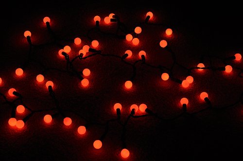 Fantado 50 IndoorDry Outdoor Red LED Globe Ball String Lights 17FT Black Cord by PaperLanternStore