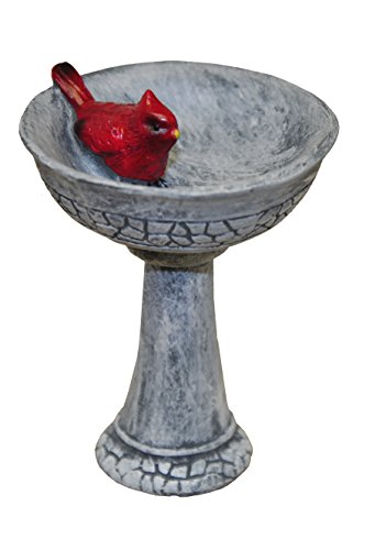 G & F Minigardenn 10027 Fairy Garden Miniature, Cardinal Birdbath Pick