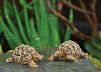 The Fiddlehead Fairy Garden Tortoise Pair Miniature Fairy Garden Accessories 16868