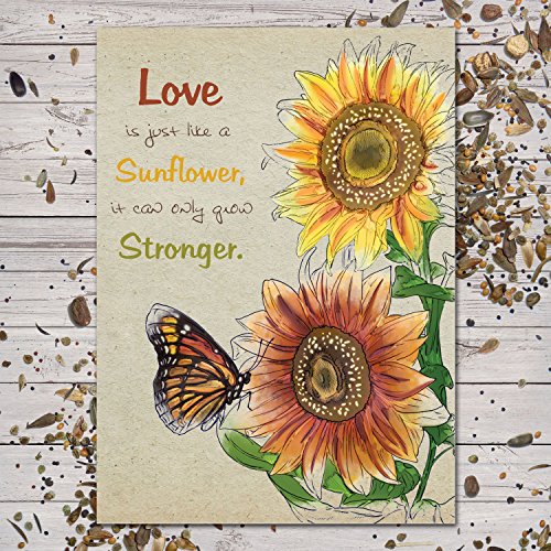 Set Of 25 Colorful Sunflower Wedding Favors  Seed Packets autumn Beauty Mixture  Helianthus Annuus