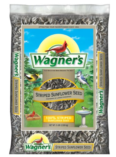 Wagners 62028 Striped Sunflower Seed 5-pound Bag