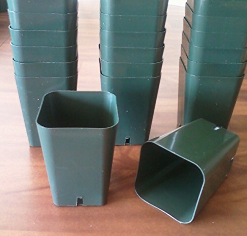 100 Seed Starting - 2 14 Square X 3 14 Extra Deep Plastic Rose Pots durable reusable