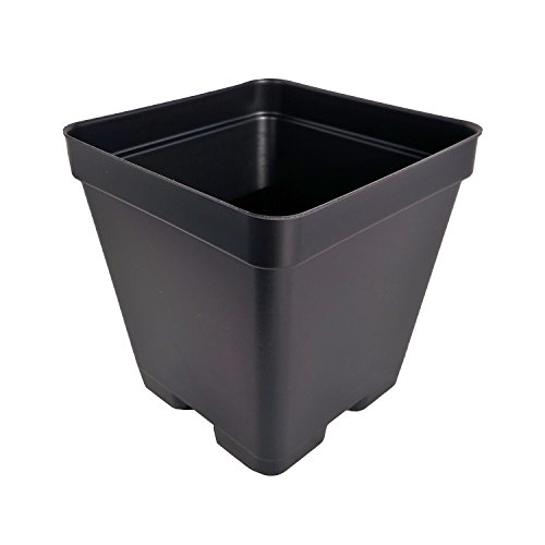 4 Inch Press Fit Flower Pots - Made in USA - Reusable Recyclable - Garden Greenhouse Hydroponics Seed Starting Actual Dimensions 35 Square By 35 Deep Black 45