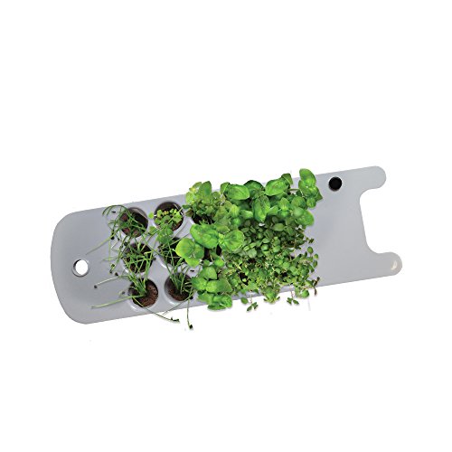 Miracle-gro Aerogarden Seed Starting System For Sproutamp Sprout Plus Led Models