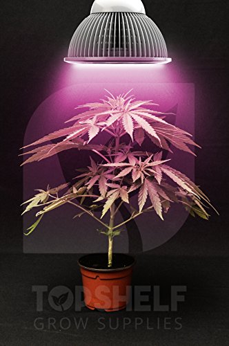 Top Shelf Grows Premium Grow Light - Led Growing Organic Indoor Herbs Garden Plants - Fast Growth - Seeds To Buds