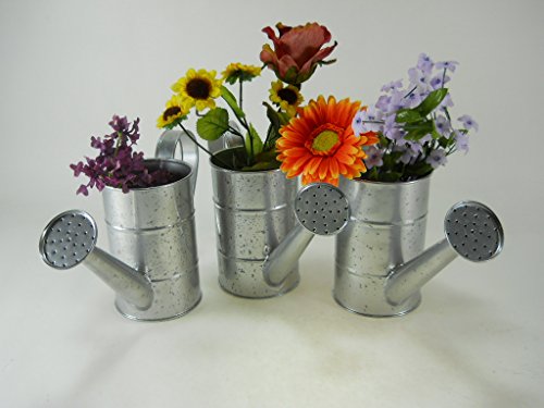 3pc Silver Speckled Water Cans Bucket Pail Planter Arrangement Pot Flower Seedling