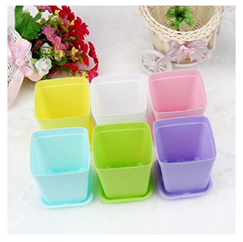 Kemilove 6 Set of 28 x 2 Mini Plastic Flower Seedlings Nursery Pot Planter  Flower Pot with Pallet