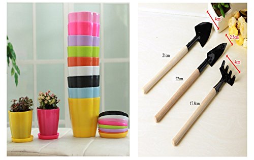 P2Pzita 5pcs Random Colors Mini Plastic Flower Seedlings Nursery Pot 35 Planter and 3 Piece Wood Handle Garden Tool Set