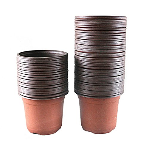 Wish you have a nice day 4 Plastic Nursery PotFlower Seedlings pots50 Pack 50 4inch