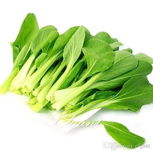 Pinkdose Bok Choy 1000 Seeds Pak Choi Cabbage Vegetable Seeds Fast-Growing