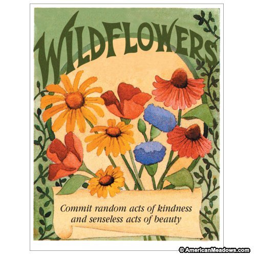 Davids Garden Seeds Flower Seed Favor Packetquotrandom Acts Of Kindness&quot Fef multi Color 20 Packets
