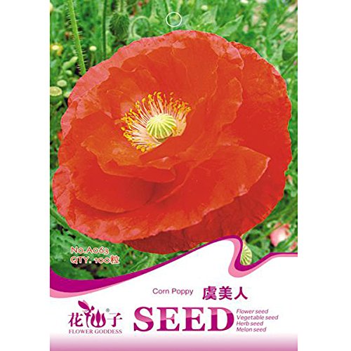 Red Corn Poppy Papaver Rhoeas Garden Flower Seeds 100pcs Garden