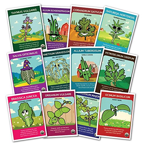 100% Certified Organic Non-gmo Culinary Herb Set - 12 Popular Varieties Of Easy-to Grow Organic Seeds - From A