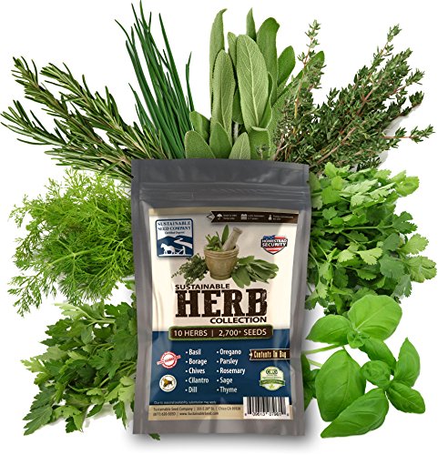 Culinary Herb Seed Collection - 100% Non-gmo, Easy-to Grow Heirloom Seeds - From A Real Seed Company!