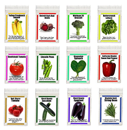 Heirloom Garden Vegetable Seeds Non Gmo Easy Growers